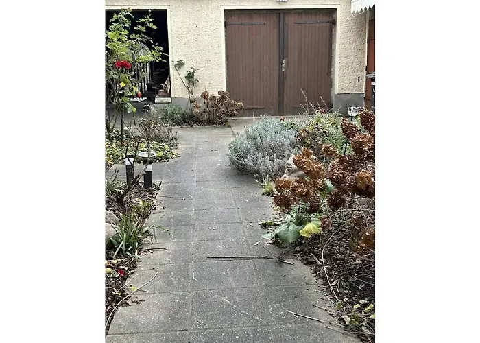 In With Barbecue Feriehus